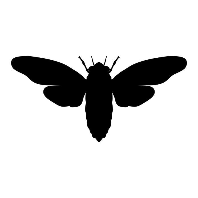 Codevisionz Learn To Code Online For Free